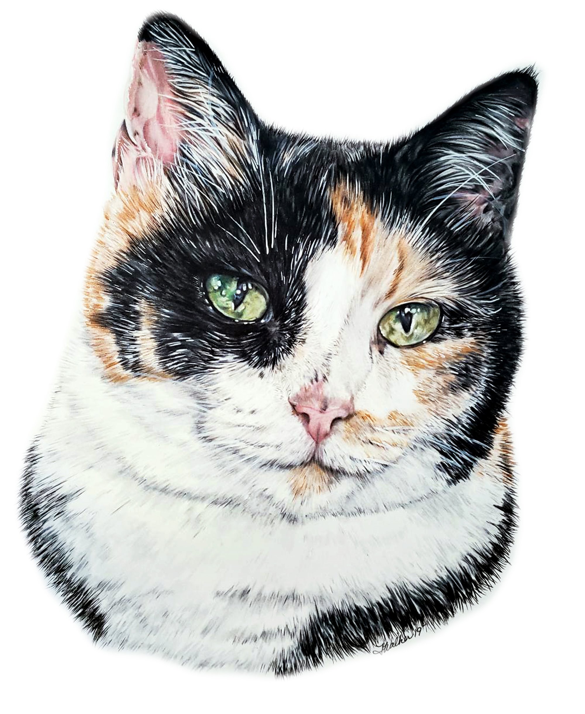 Sophie