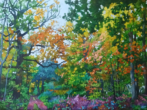 Colourful autumn woods and trees