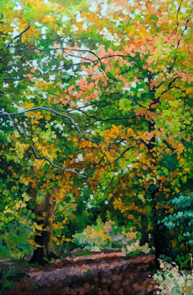 Tall trees either side of a path.  Autumn woodland