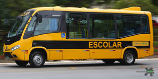 SEM TRANSPORTE ESCOLAR, ALUNOS DO POVOADO ALDEIA.