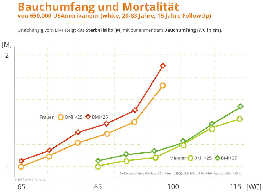 Diagramm - Bauchumfang und Mortalität © EgoVital GmbH