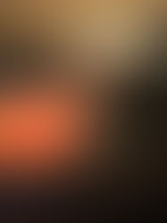 The Emperor & The Empress