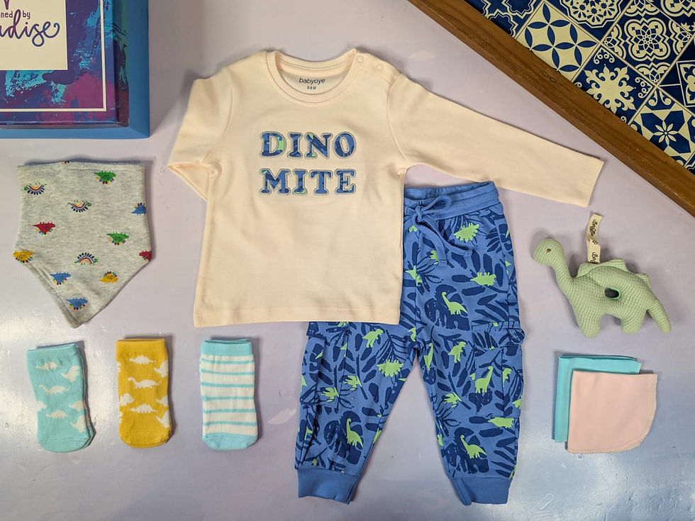 Dinosaur Theme - 6-9M