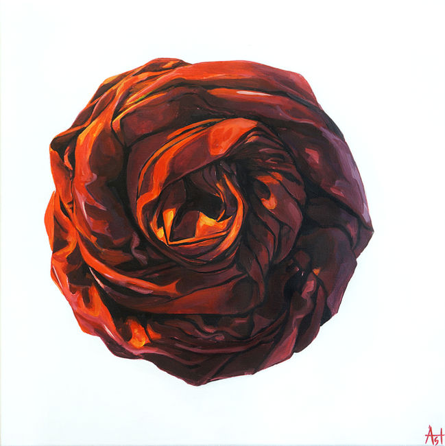 Rosa 50x50.jpg