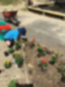 IMG_1549.jpeg