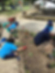 IMG_1547.jpeg