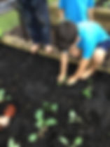 IMG_0901.jpeg