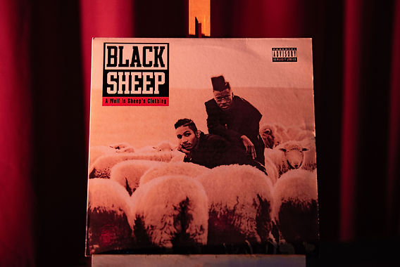 Timeless Affairs: Black Sheep - A Wolf in Sheep's Clothing