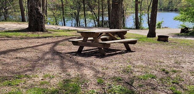picnic table.jpeg