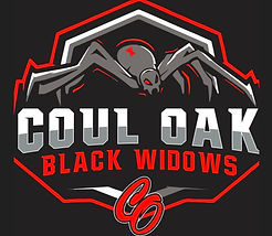 Black Widow Logo.jpg