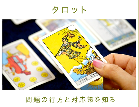 2022menu_タロット.png