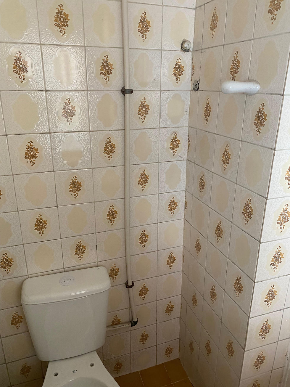 Miniatura: Casa de 4 Quartos - Tijuca - Rio de Janeiro