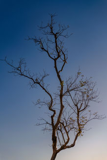 _DSC2596-Editar.jpg