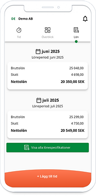 Löneinsikt i realtid.png