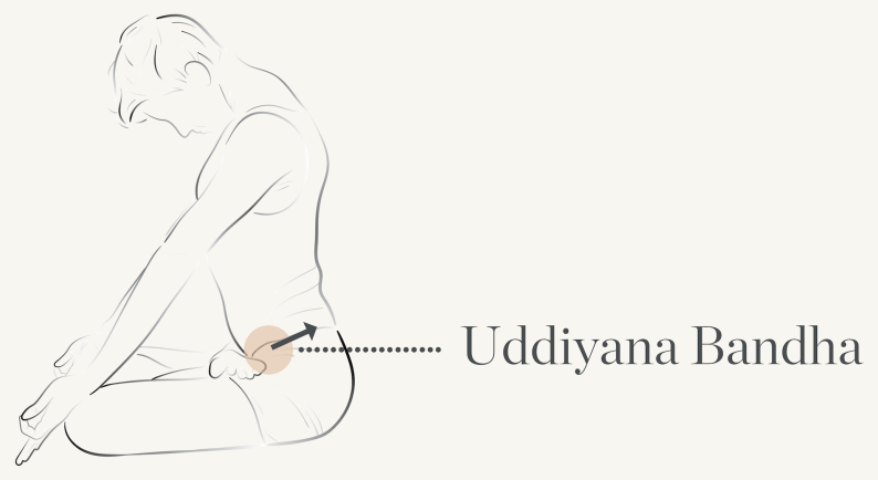 Uddiyana Bandha (abdominal lock)
