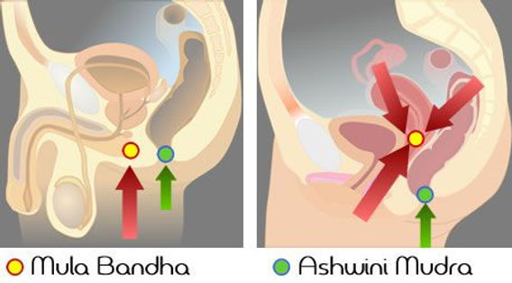 Yigit katta sikli yigitni sikadi Mytishchida uchlik uchun qiz qidiryapman