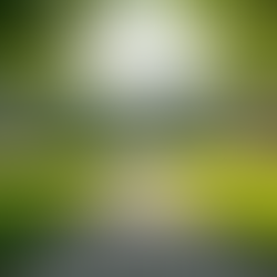 Secure Retirement Planning Strategies for Peace of Mind