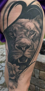 Black and Grey Lion Realism Leg Sleeve Panel Tattoo by Tehya Maxwell located at Thousand Oaks Tattoos in Springfield, OH