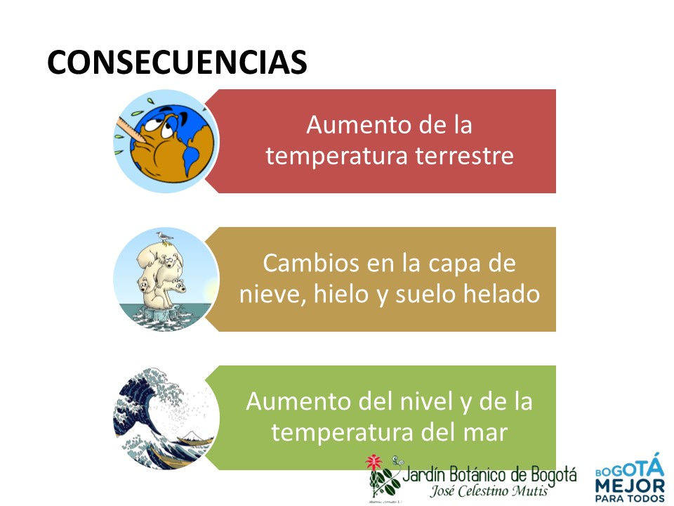 Diapositiva4