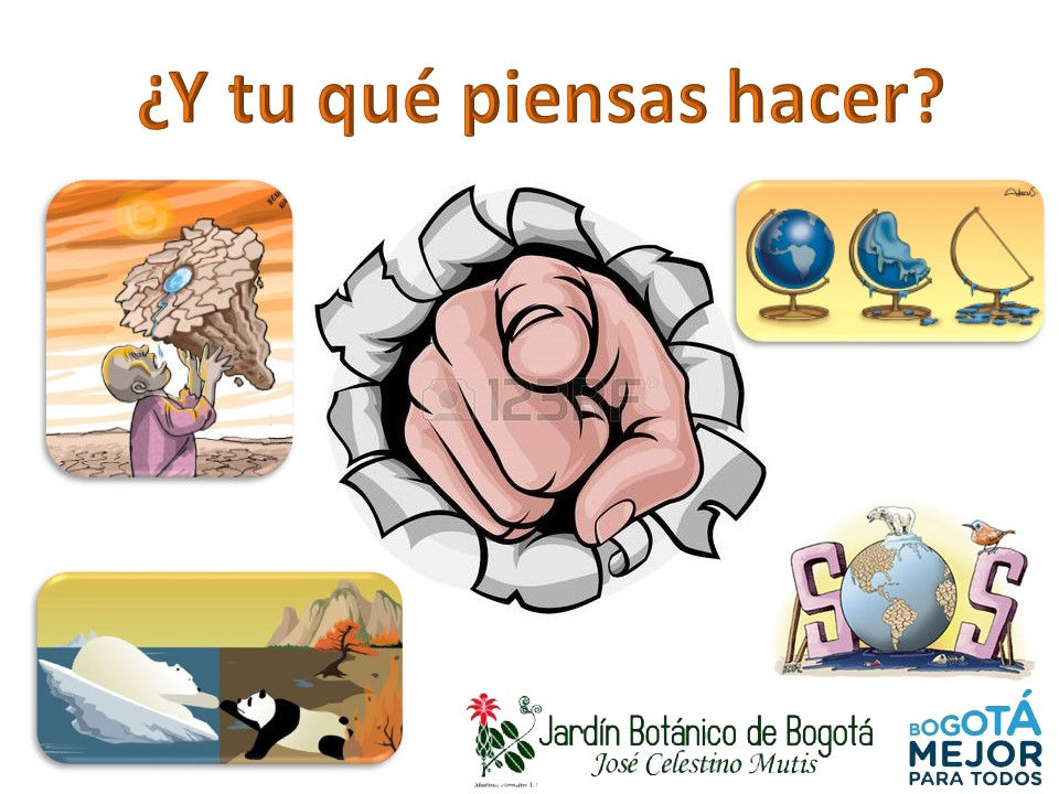 Diapositiva6