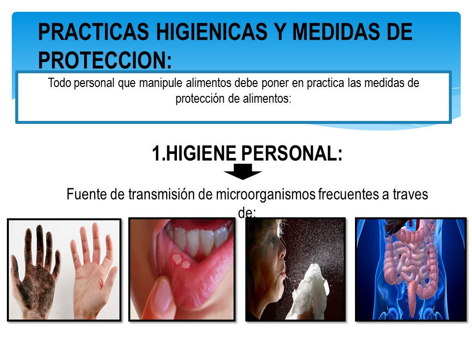 Diapositiva7