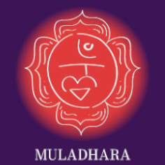 海底輪Root Chakra