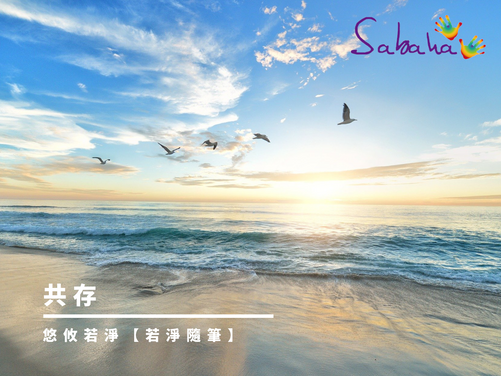 【若淨隨筆】共存