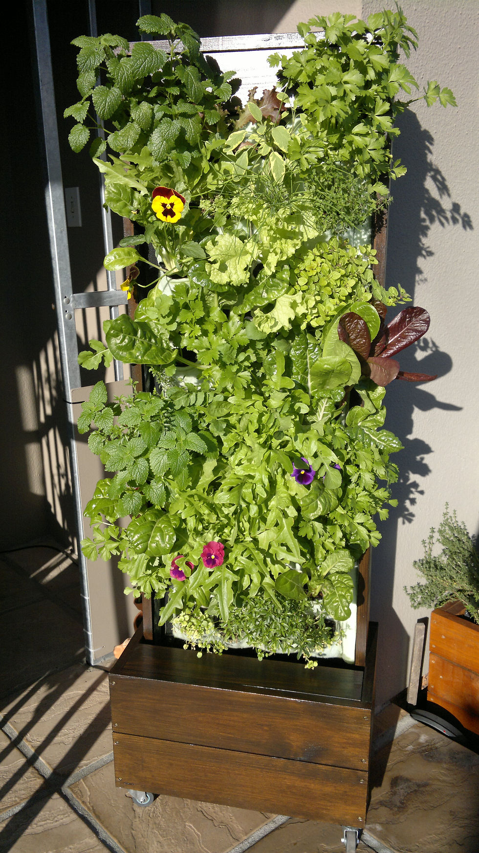 Hydro Living Wall