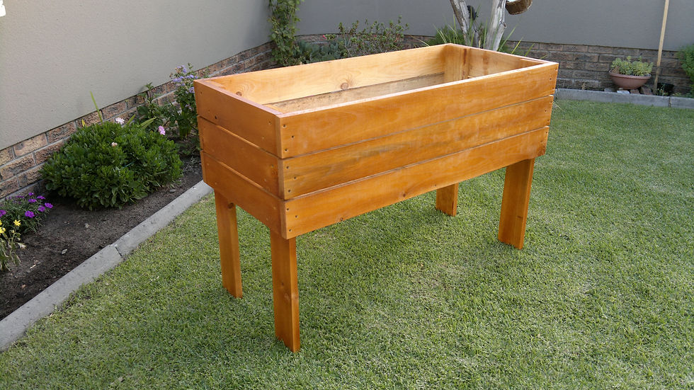 Veggie Planter