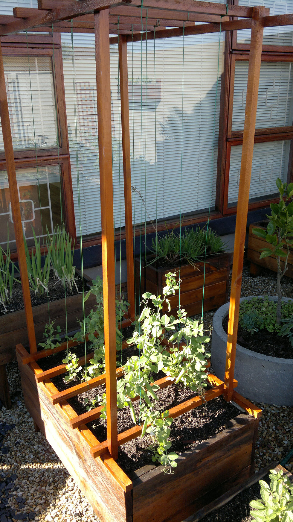 Trellis