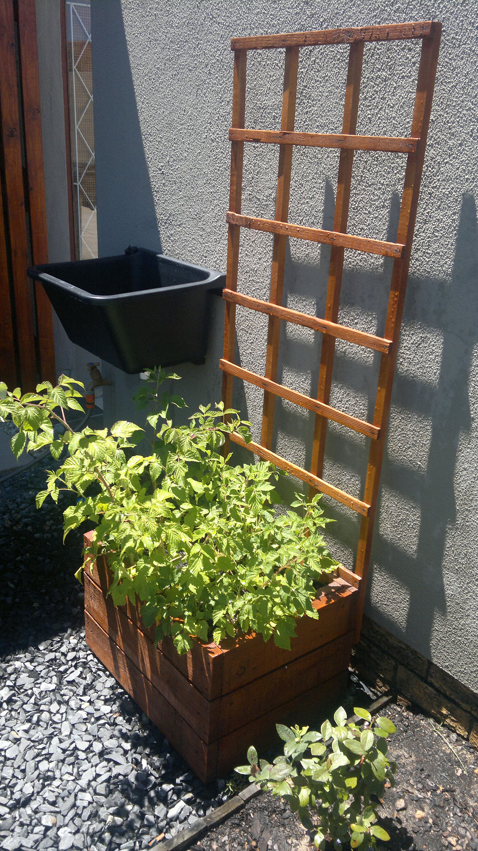 Trellis Planters