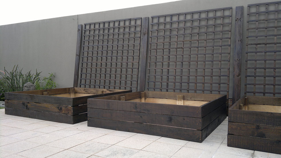 Raised Veggie Beds