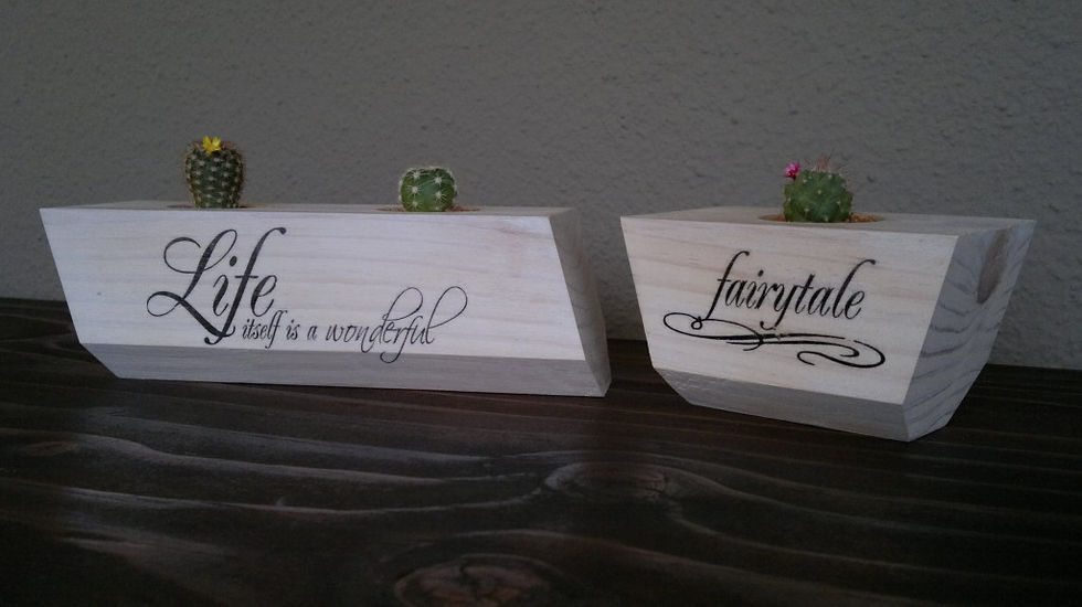 Mini Cacti/Succulent Planters