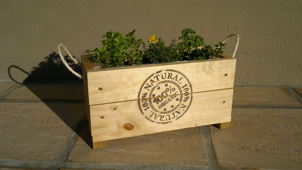 Stencil Planters