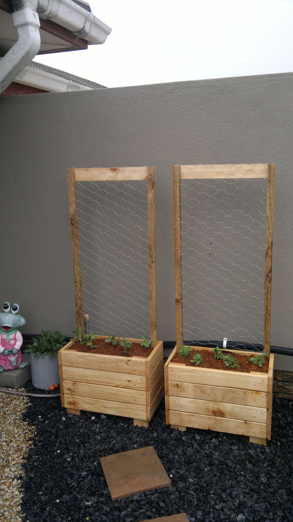 Trellis Planters