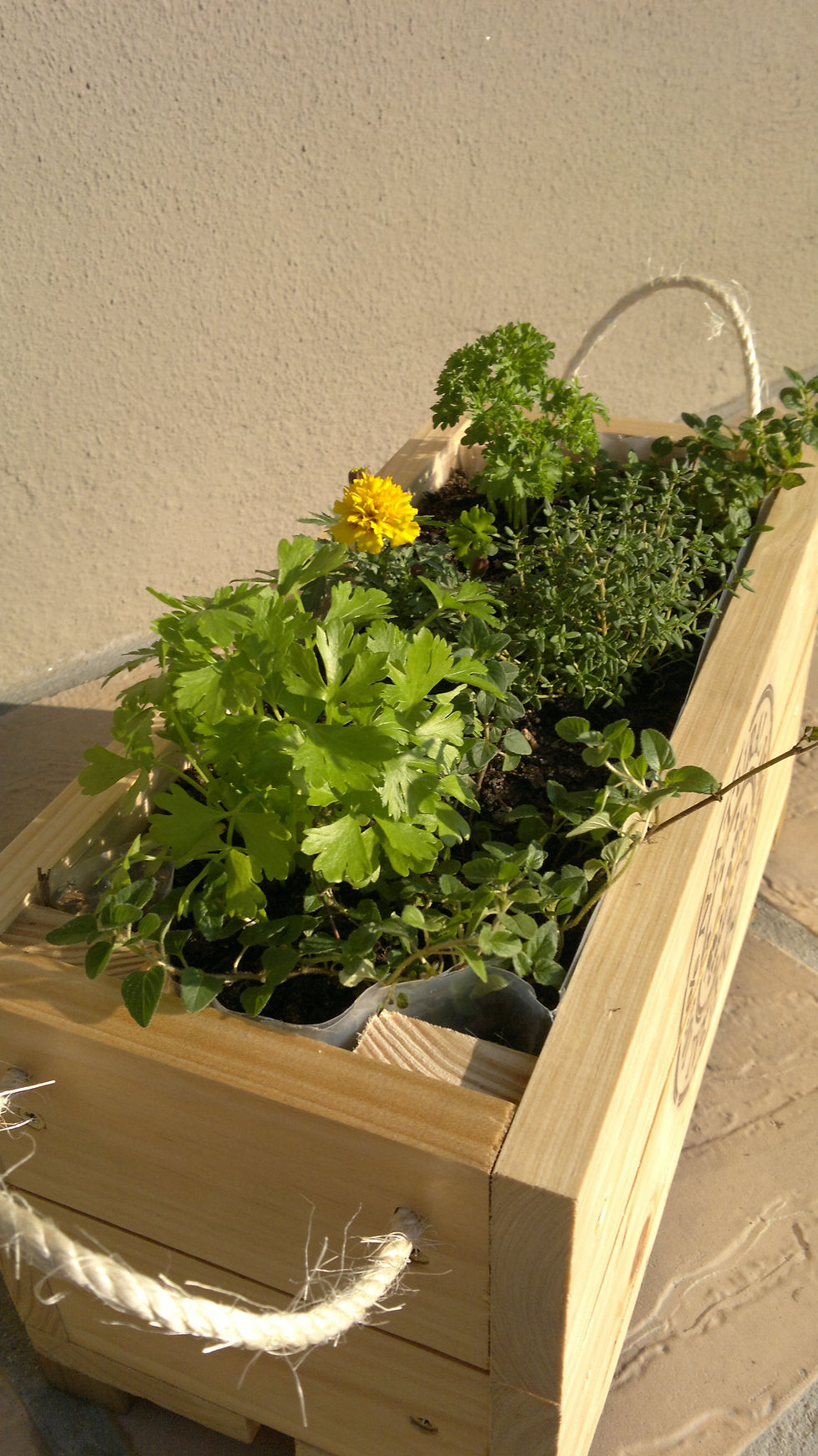 Stencil Planters