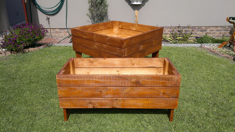 Veggie Planter