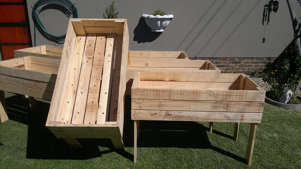Veggie Planter