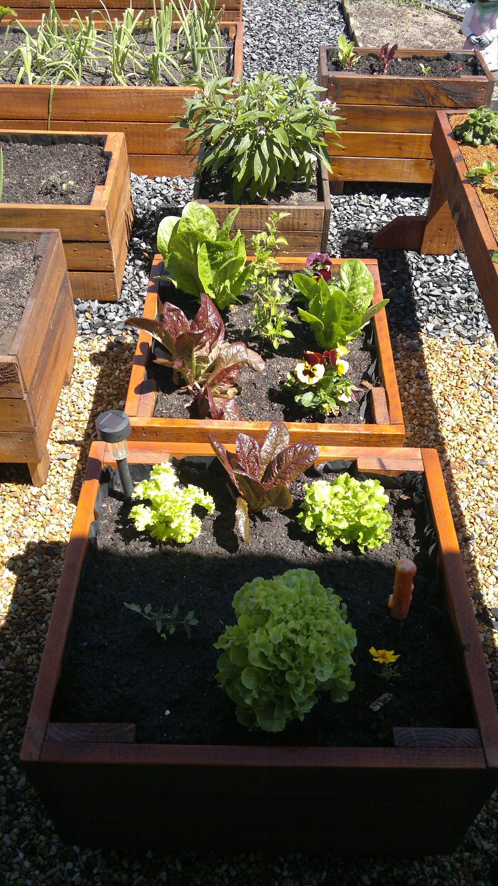 Veggie Planter