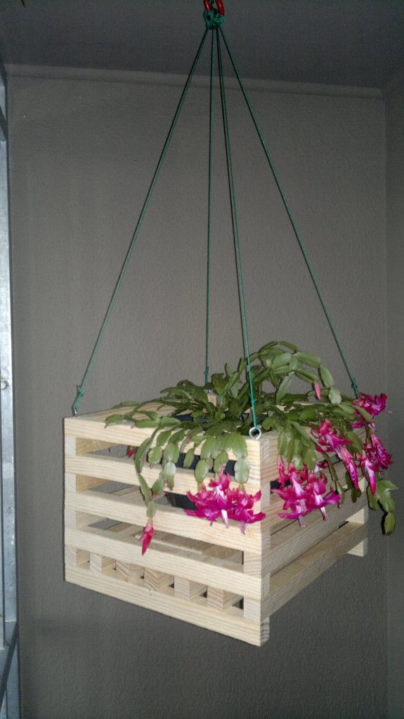 Hanging Basket Planters