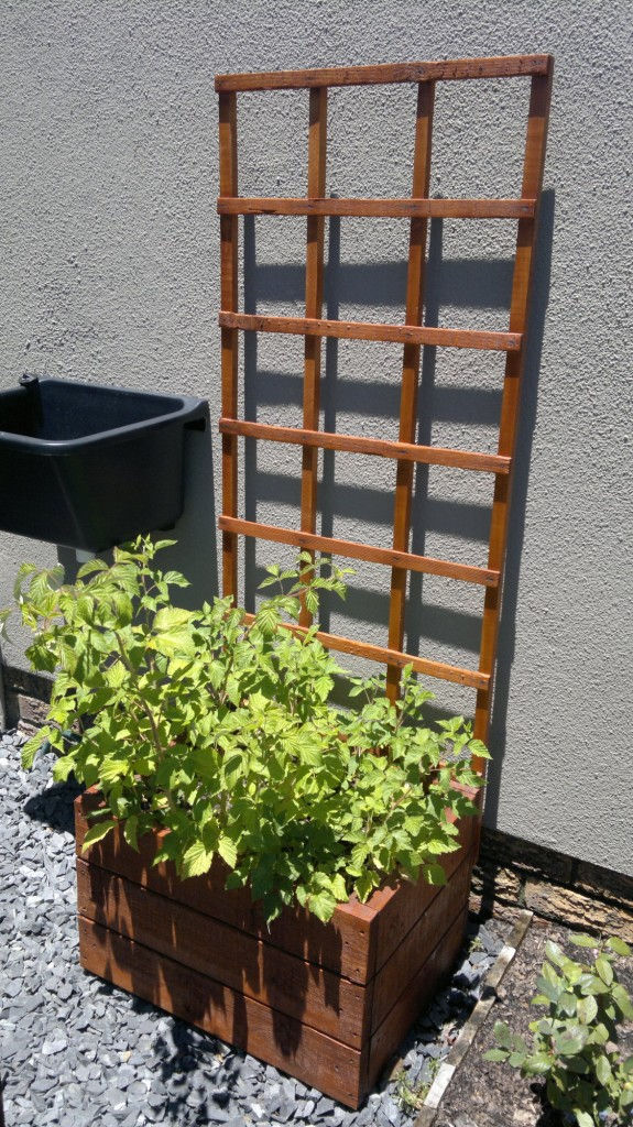 Trellis Planters