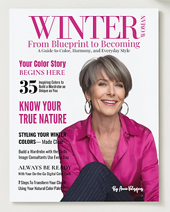 Winter Book Cover