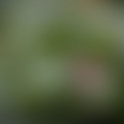 Going inside, I find the present moment. Going inside, I am home.