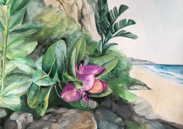 Watercolour