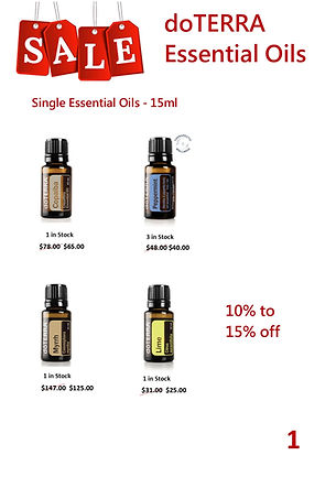 Saless Flyer Xmas Prices 1.jpg