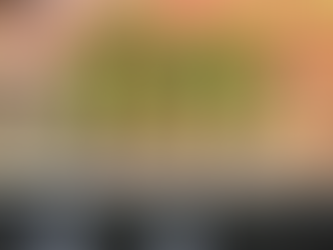 タラの芽　販売開始しました。