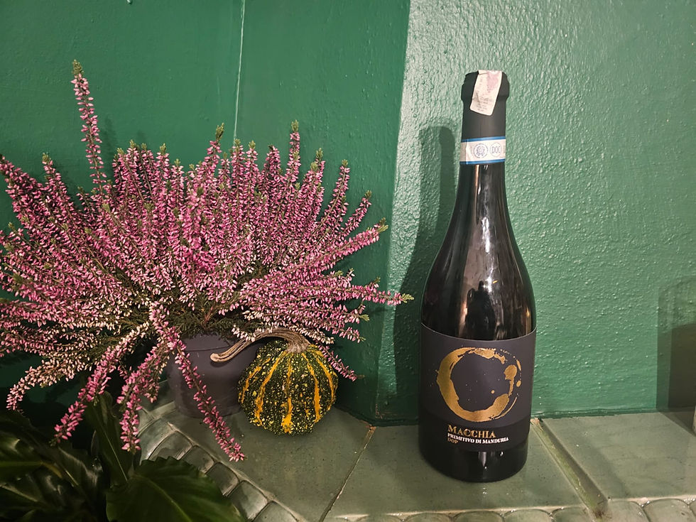 Wino Macchia Primitivo di Manduria 2021 75cl