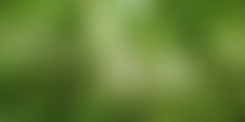 Exploring the Vital Role of VCCs in Sustainable Investing: Unveiling ESG and Impact Opportunities