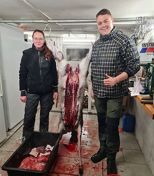 WhatsApp Image 2024-05-23 at 21.09.28.jpeg