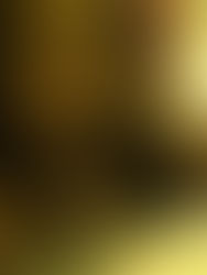 THE MYSTERY OF ALEXIS